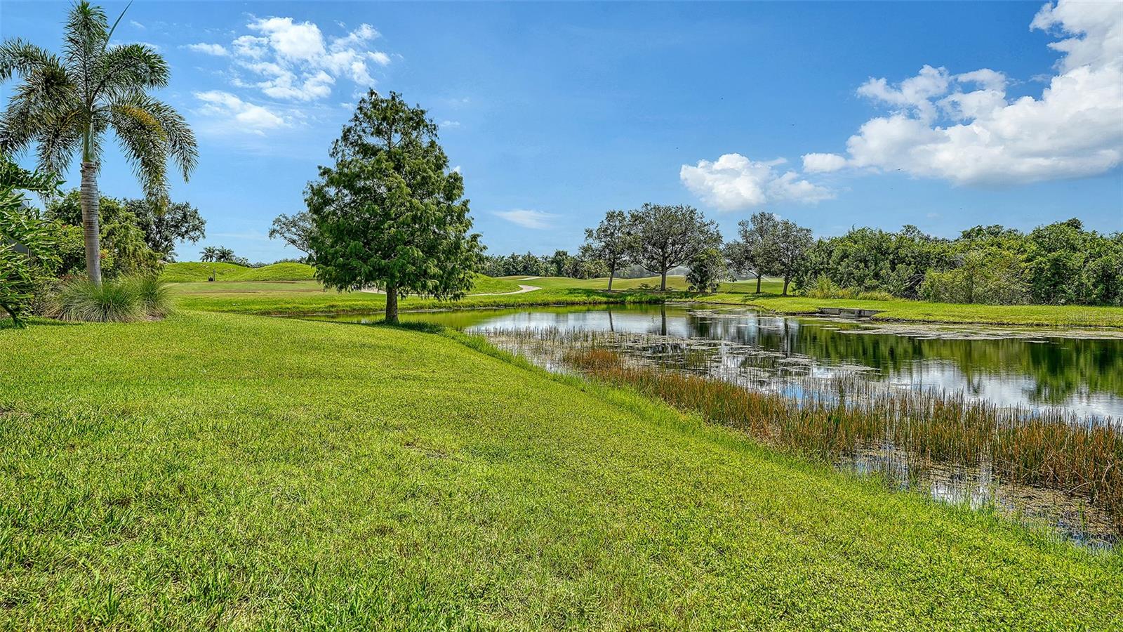 12710 Stone Ridge Pl Property Photo 87