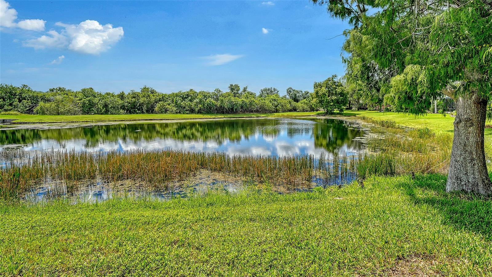 12710 Stone Ridge Pl Property Photo 88