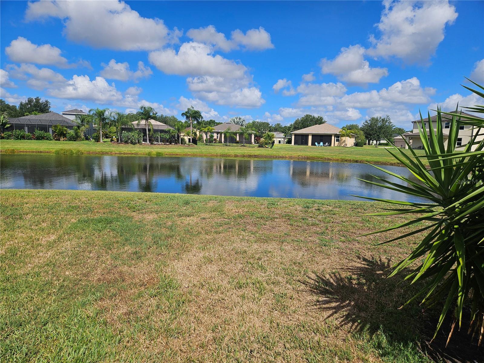 118 Peony Ct Property Photo 22