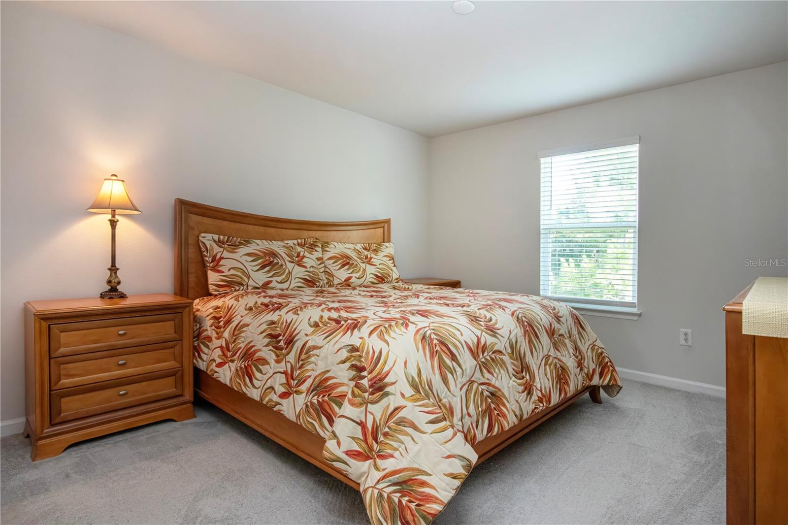 2120 Laceflower Dr Property Photo 49