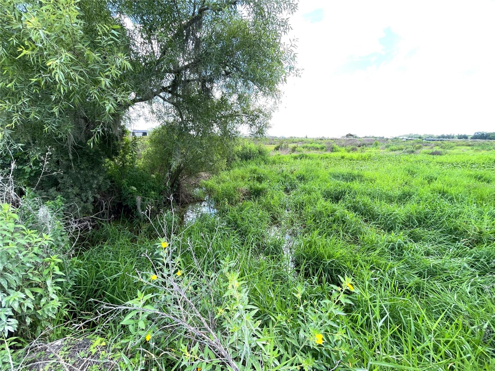 Wauchula Rd Property Photo 2