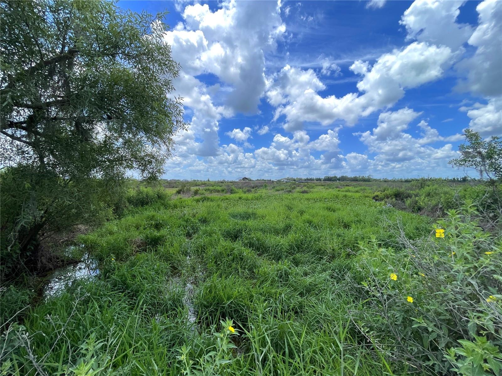 Wauchula Rd Property Photo 3