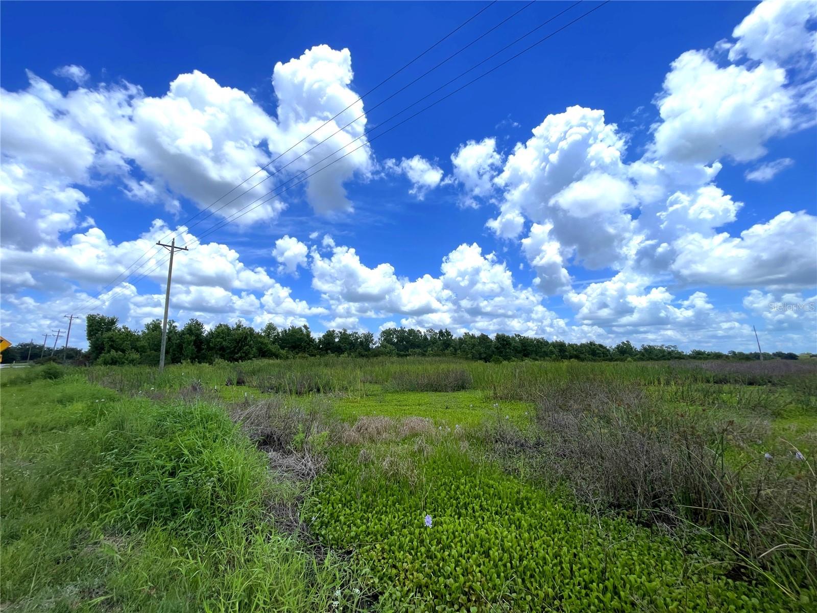 Wauchula Rd Property Photo 5