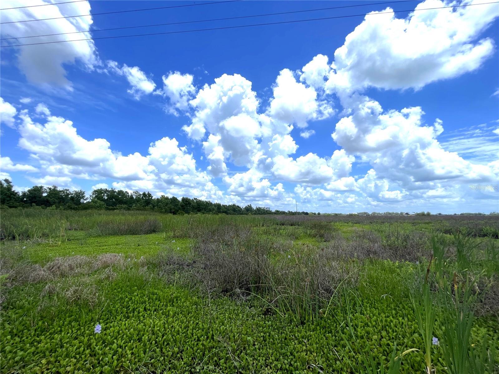 Wauchula Rd Property Photo 6