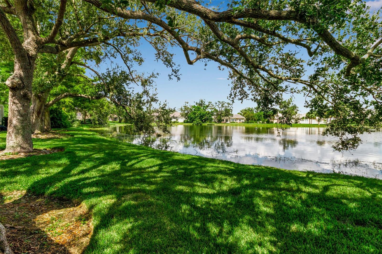 101 Osprey Point Dr Property Photo 57