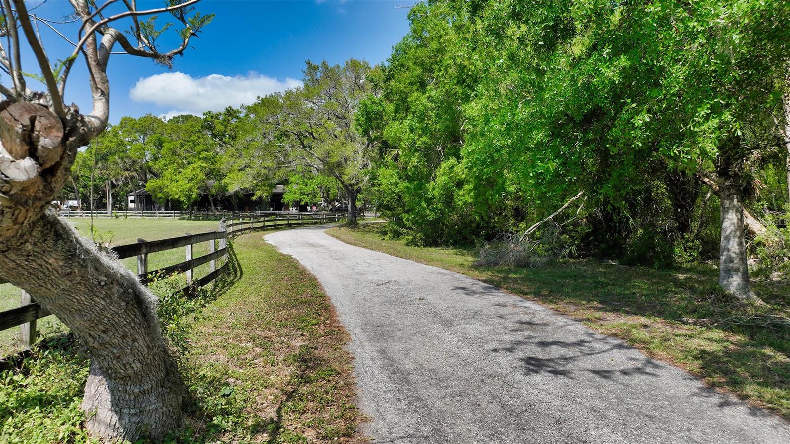 7025 Clark Rd Property Photo 14