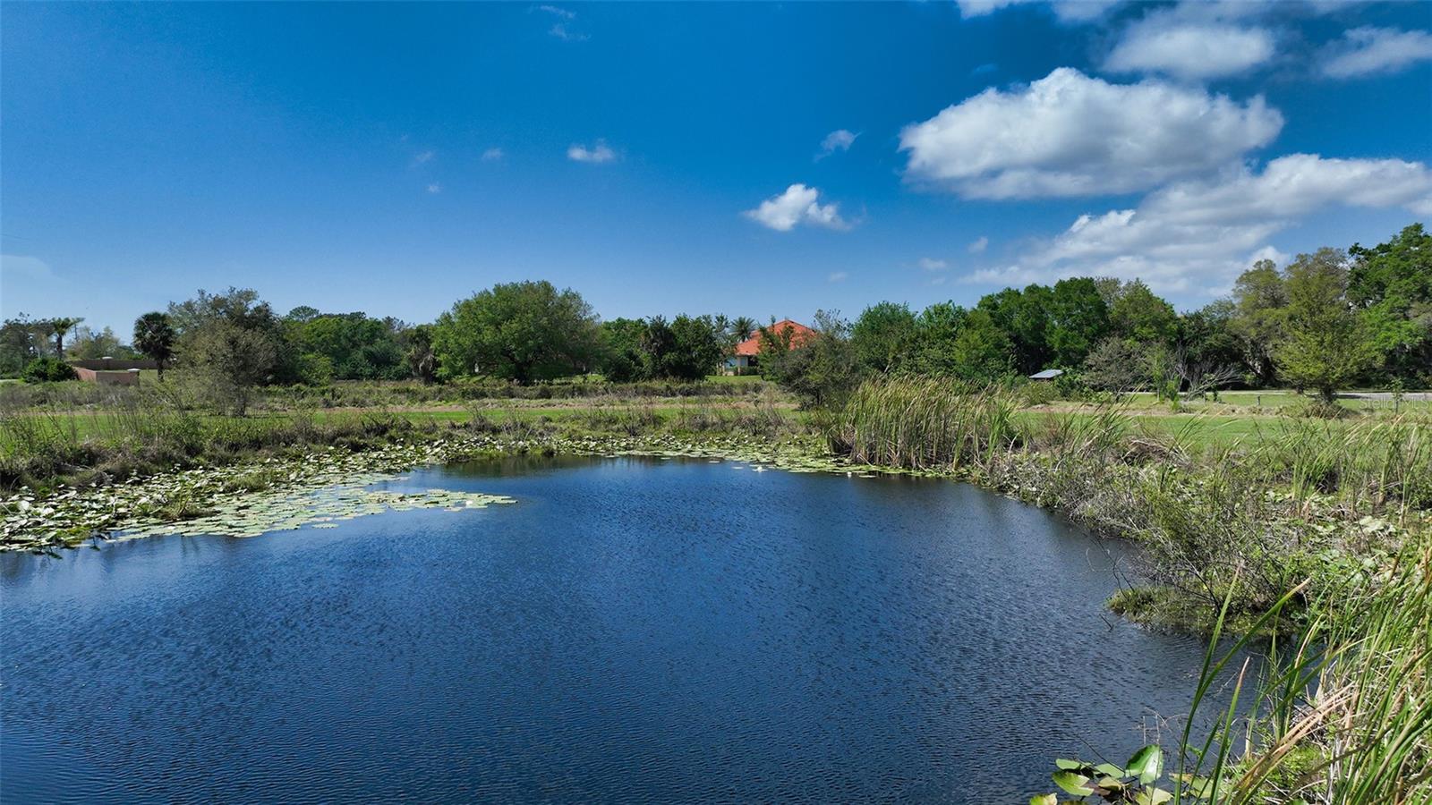 7025 Clark Rd Property Photo 15