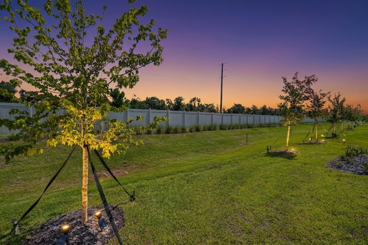 12617 Lily Quartz Loop Property Photo 37