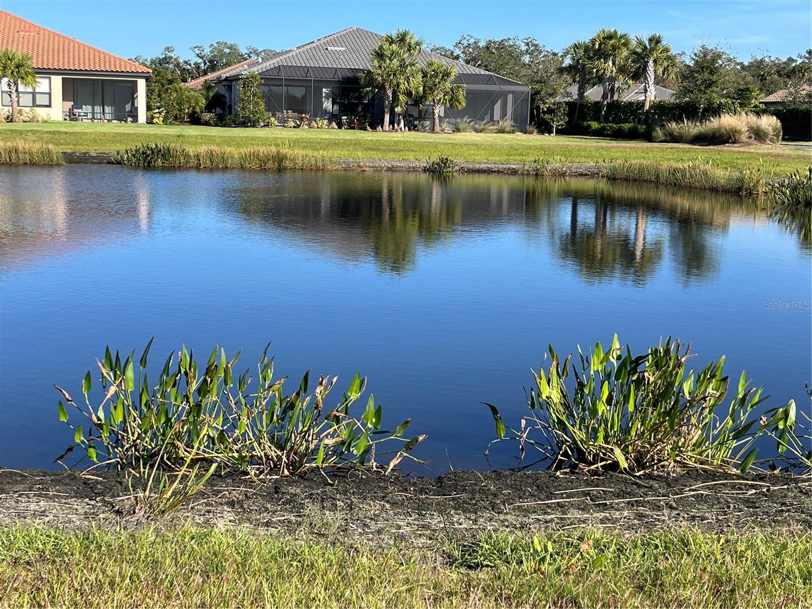 10433 Morning Mist Ln Property Photo 3