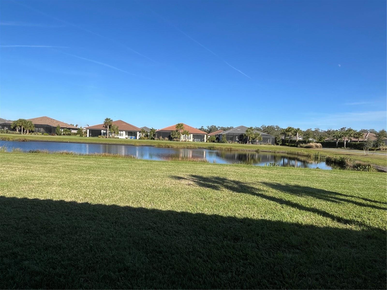 10433 Morning Mist Ln Property Photo 6