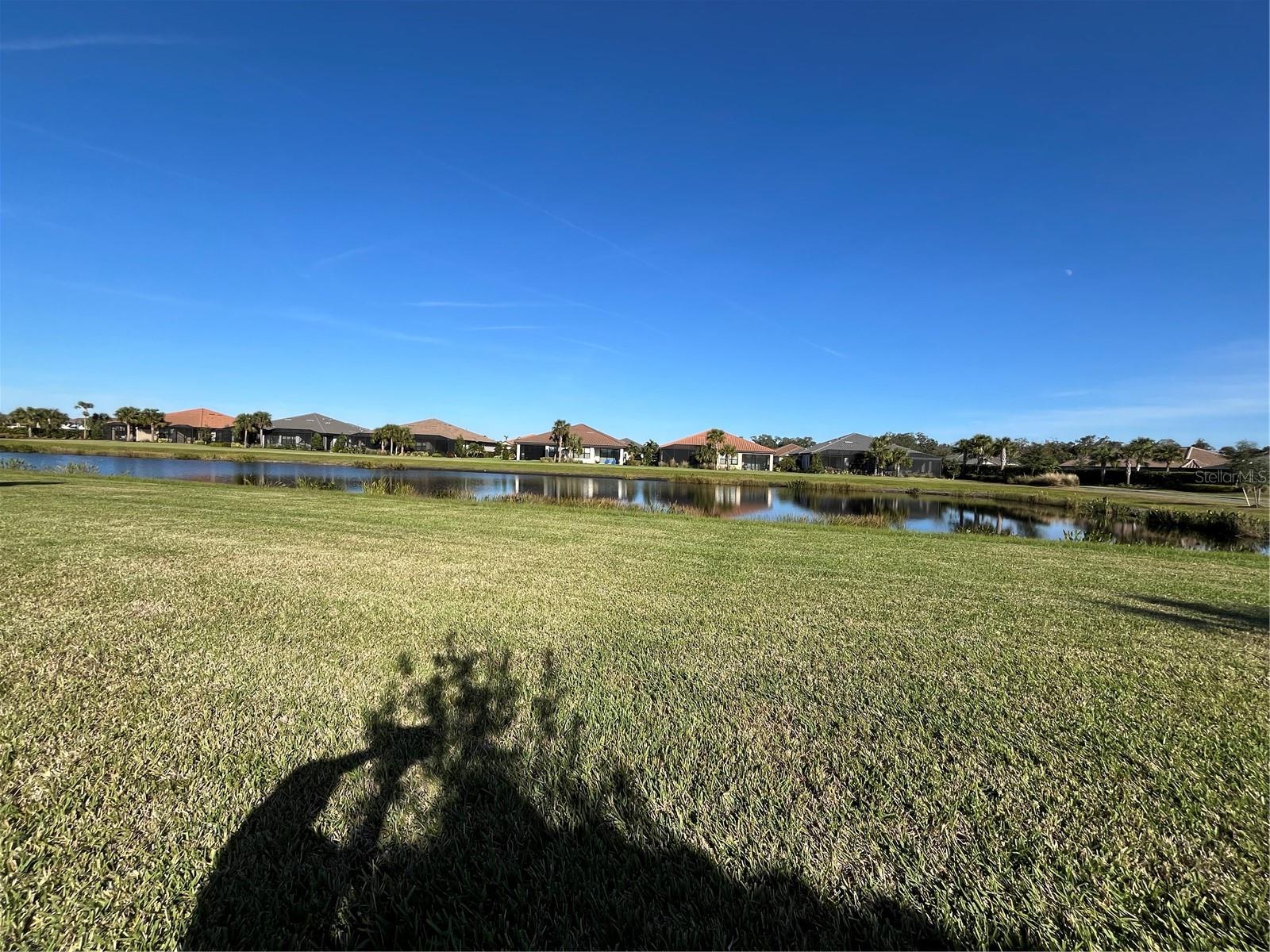 10433 Morning Mist Ln Property Photo 8