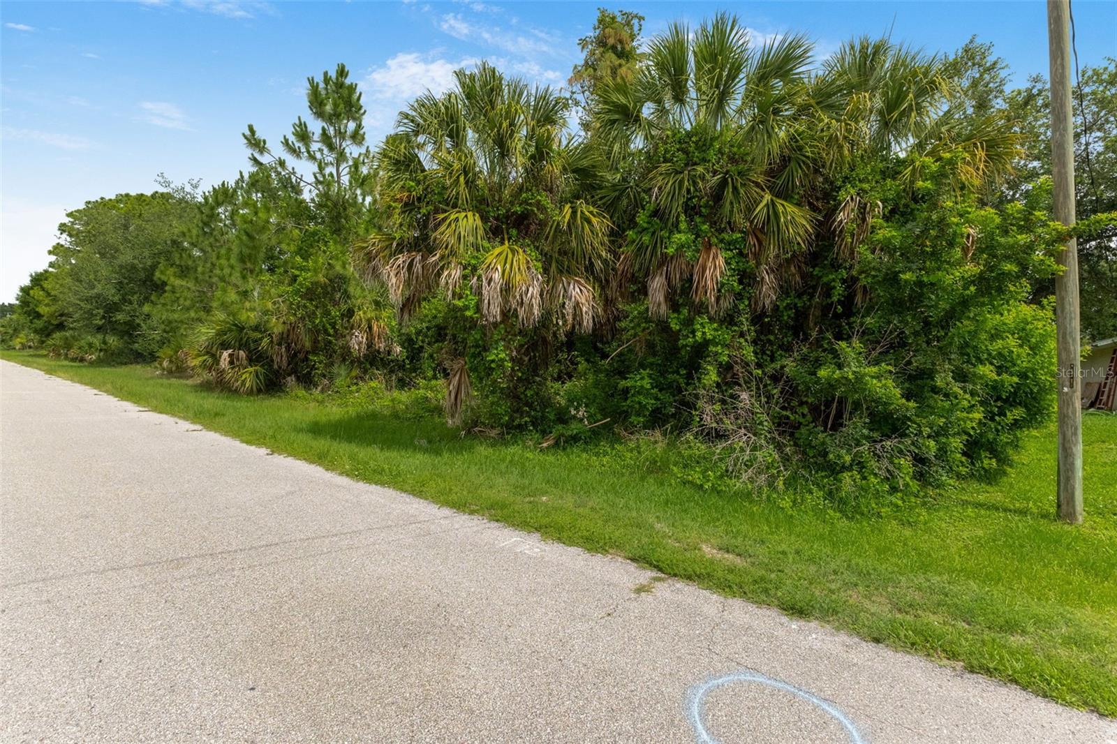Van Leer Ave Property Photo 13