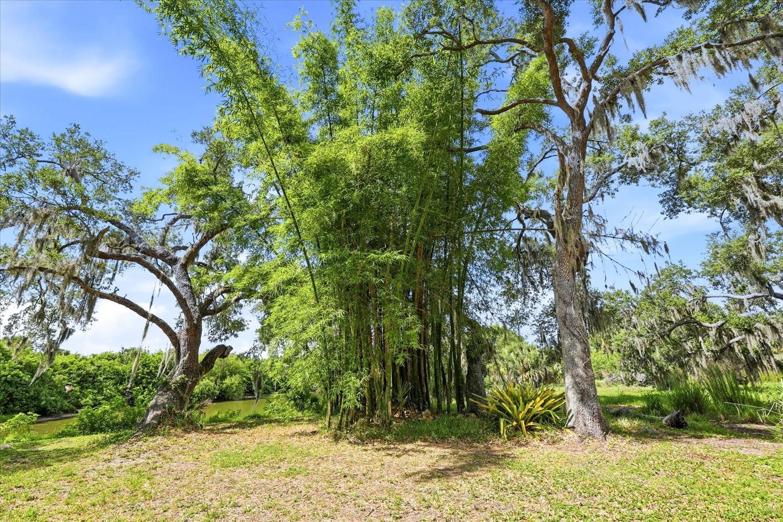 5850 Vanderipe Rd Property Photo 58