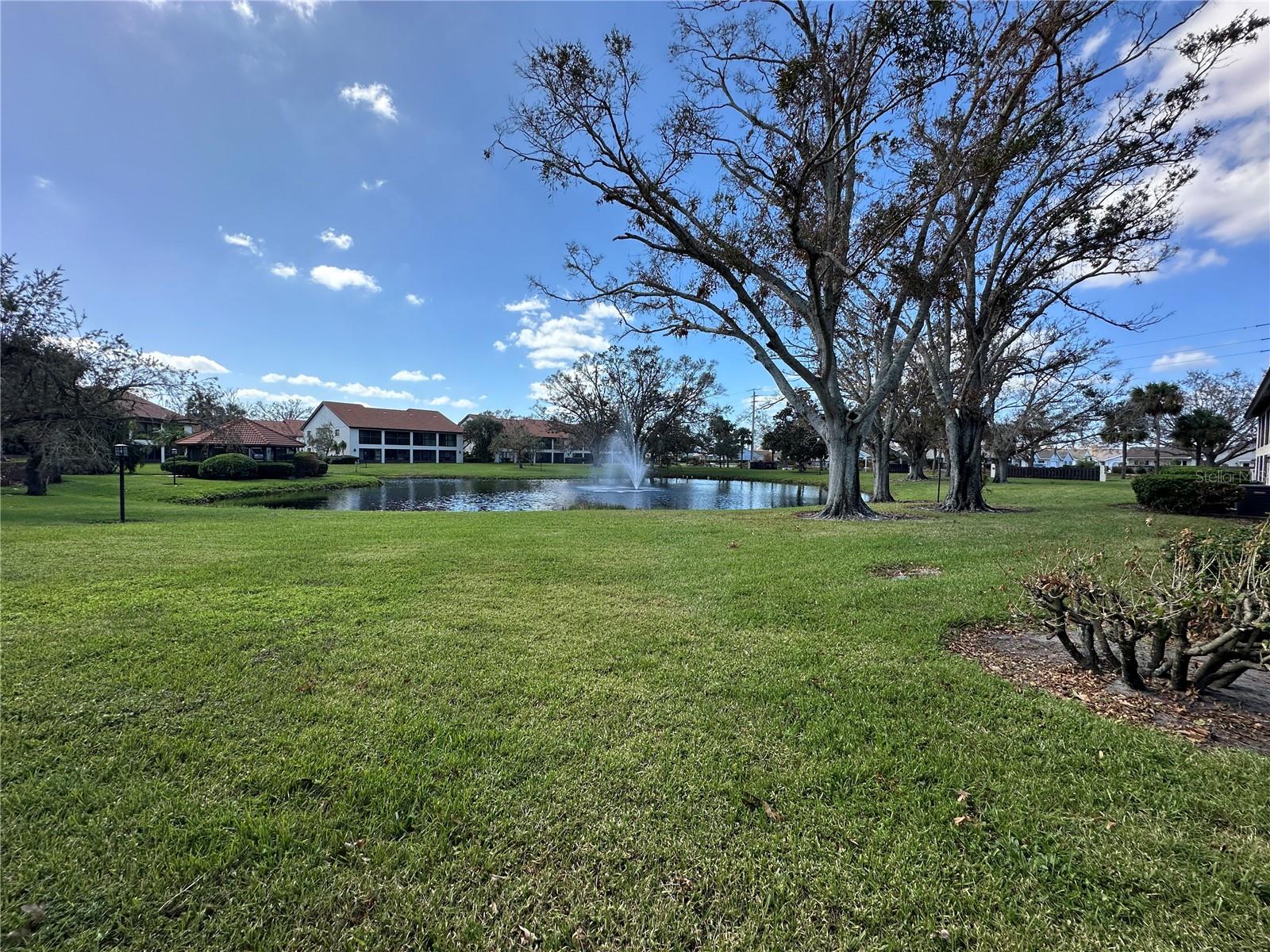760 Avenida Estancia #217 Property Photo 21