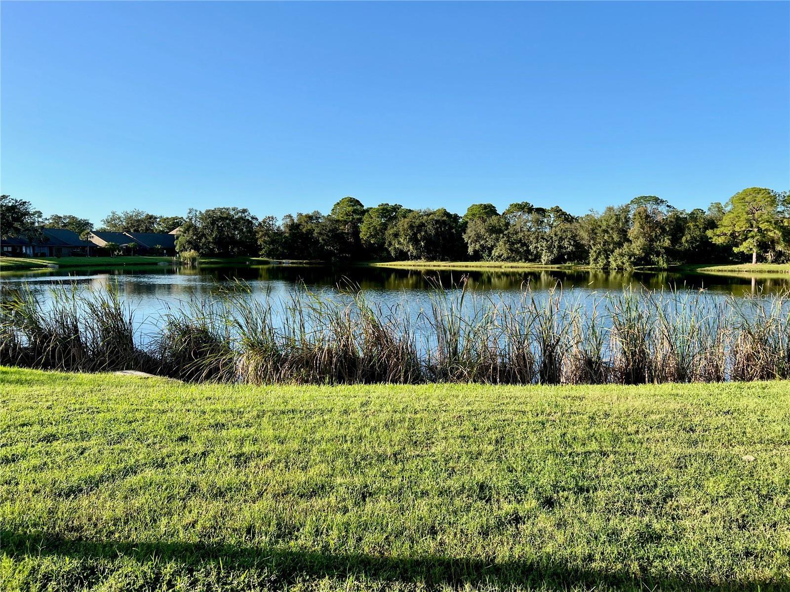 7186 Lakeside Dr Property Photo 20