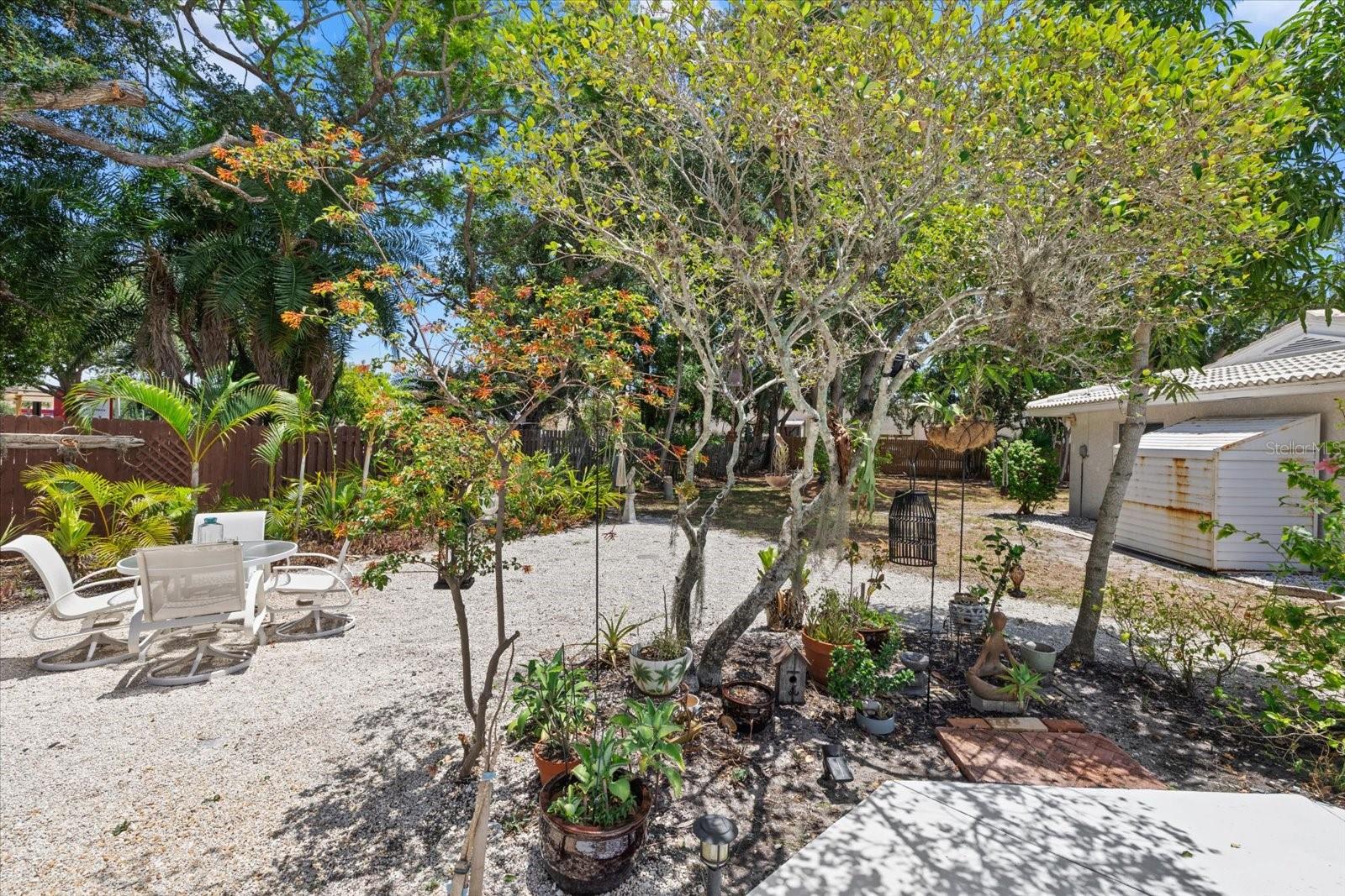 4305 Chinaberry Cir Property Photo 22