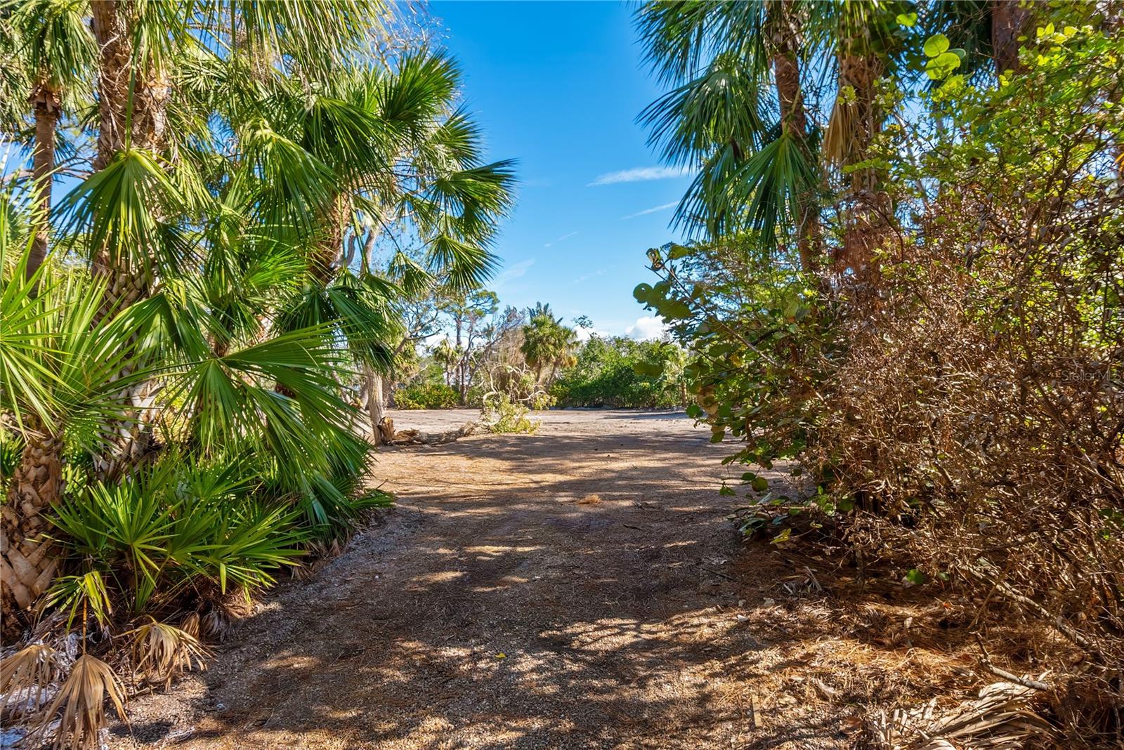7219 Pine Needle Rd Property Photo 6