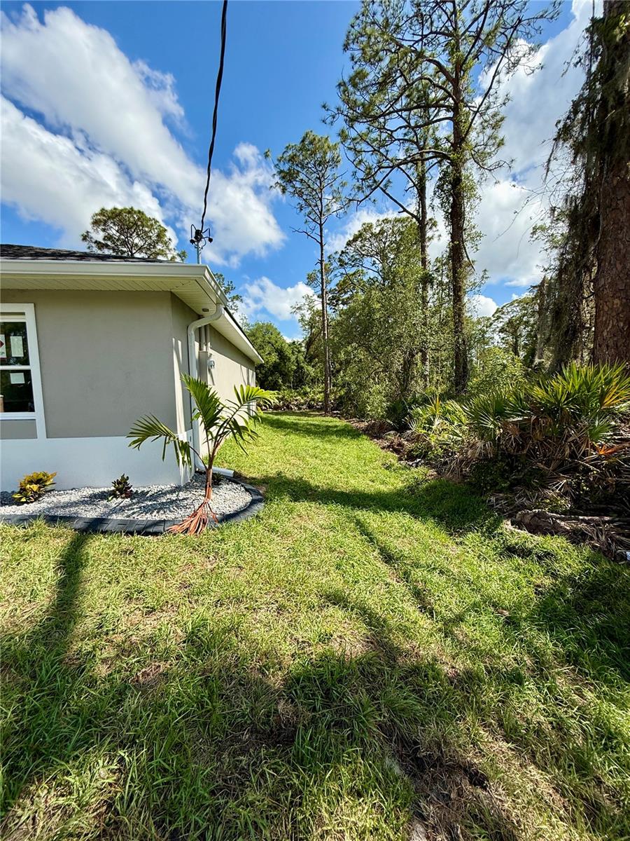 1317 Biscayne Dr Property Photo 9