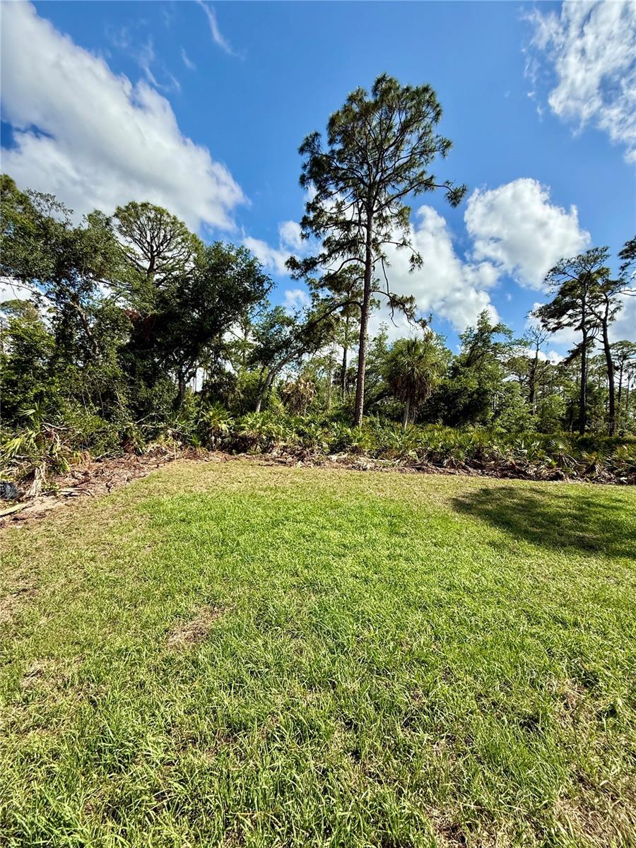 1317 Biscayne Dr Property Photo 13