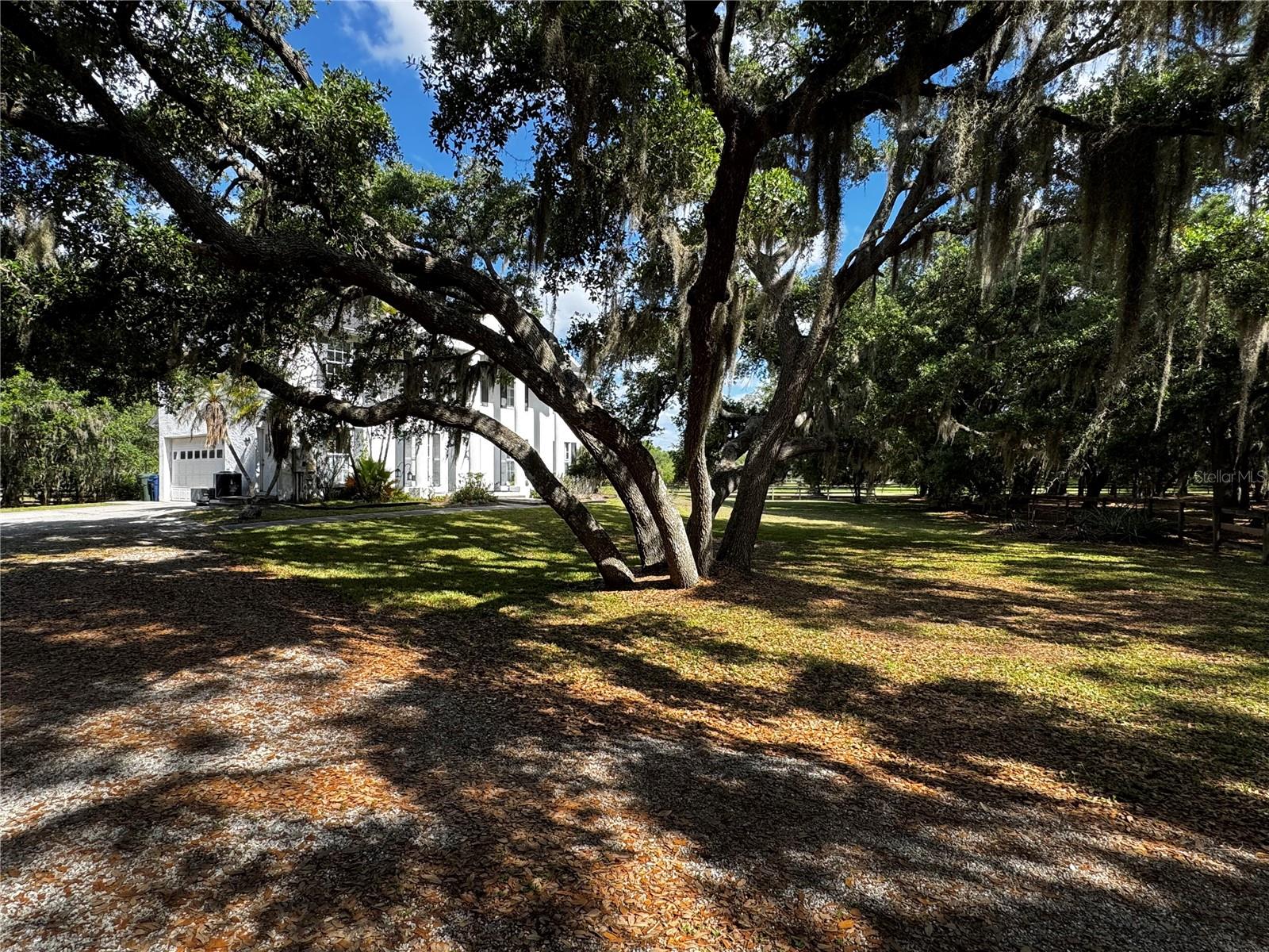 1701 Bern Creek Loop Property Photo 8