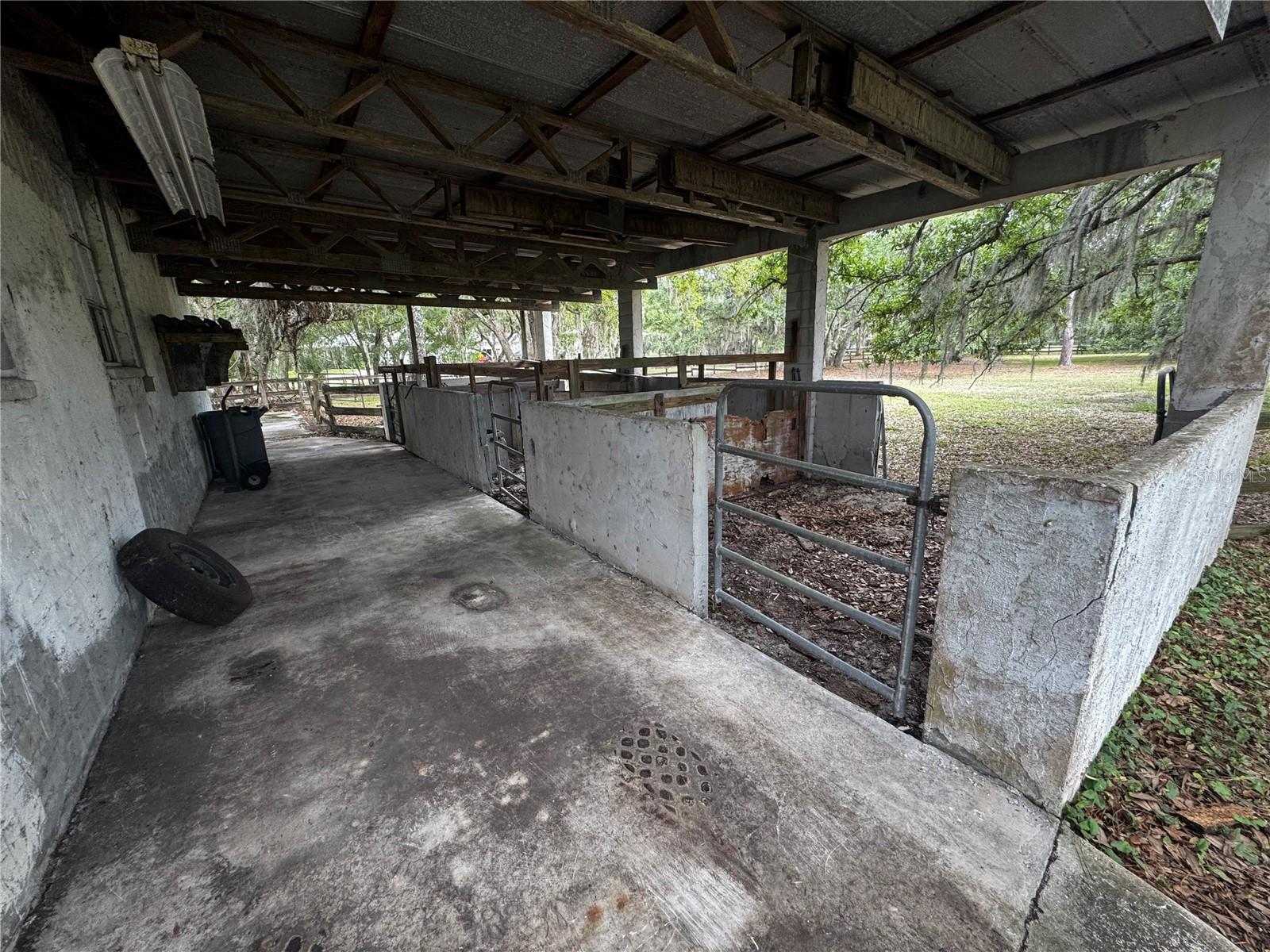 1701 Bern Creek Loop Property Photo 13