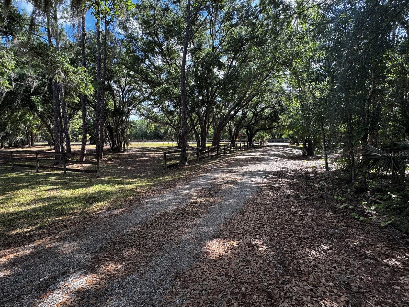 1701 Bern Creek Loop Property Photo 15