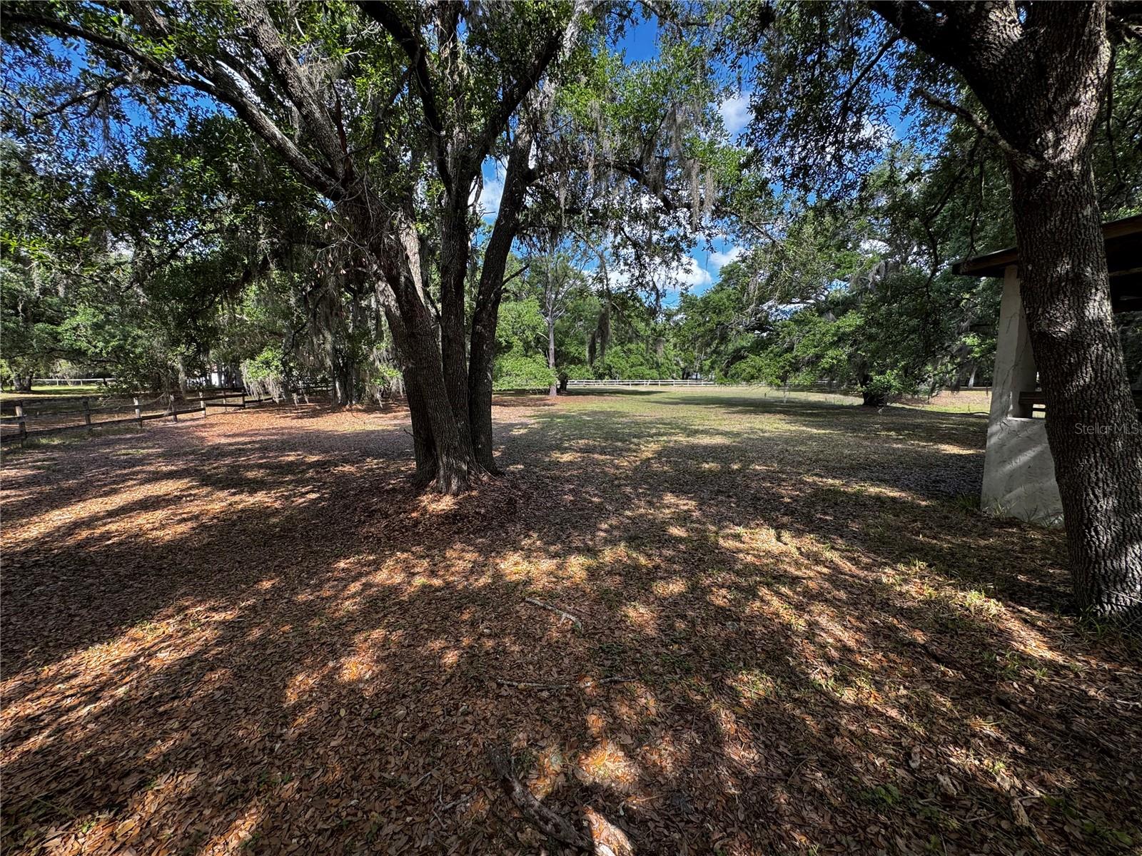 1701 Bern Creek Loop Property Photo 16