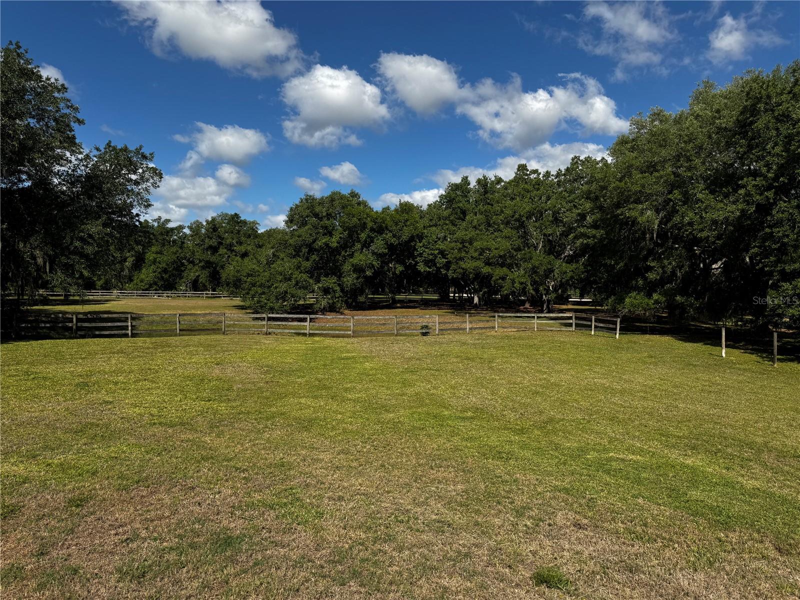 1701 Bern Creek Loop Property Photo 18