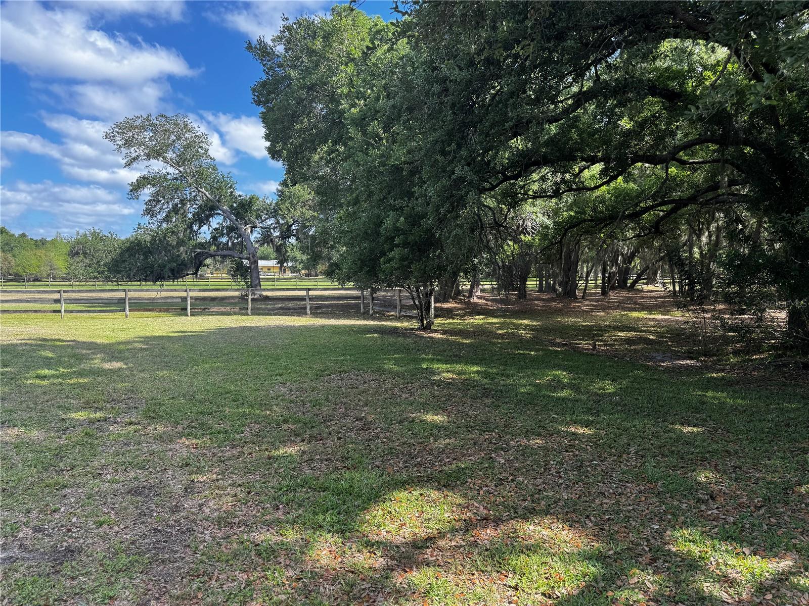 1701 Bern Creek Loop Property Photo 19