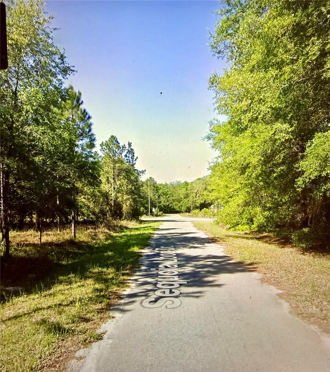 Lot 39 SE SEQUOIA LOOP DR Property Photo 1