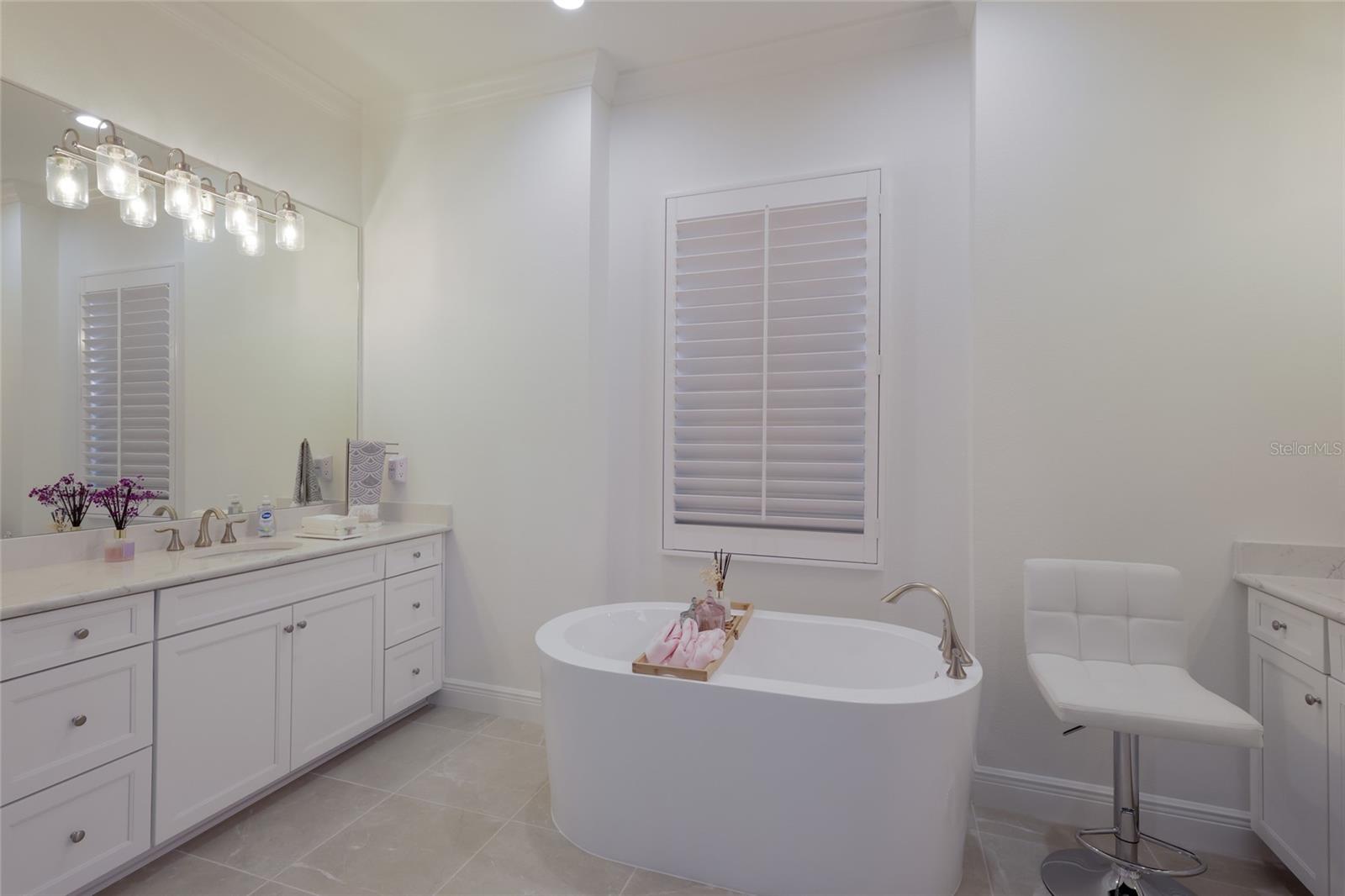 2493 Paradise Plum Dr Property Photo 19
