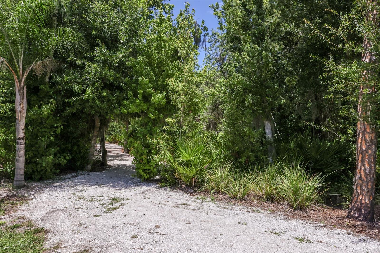2493 Paradise Plum Dr Property Photo 36