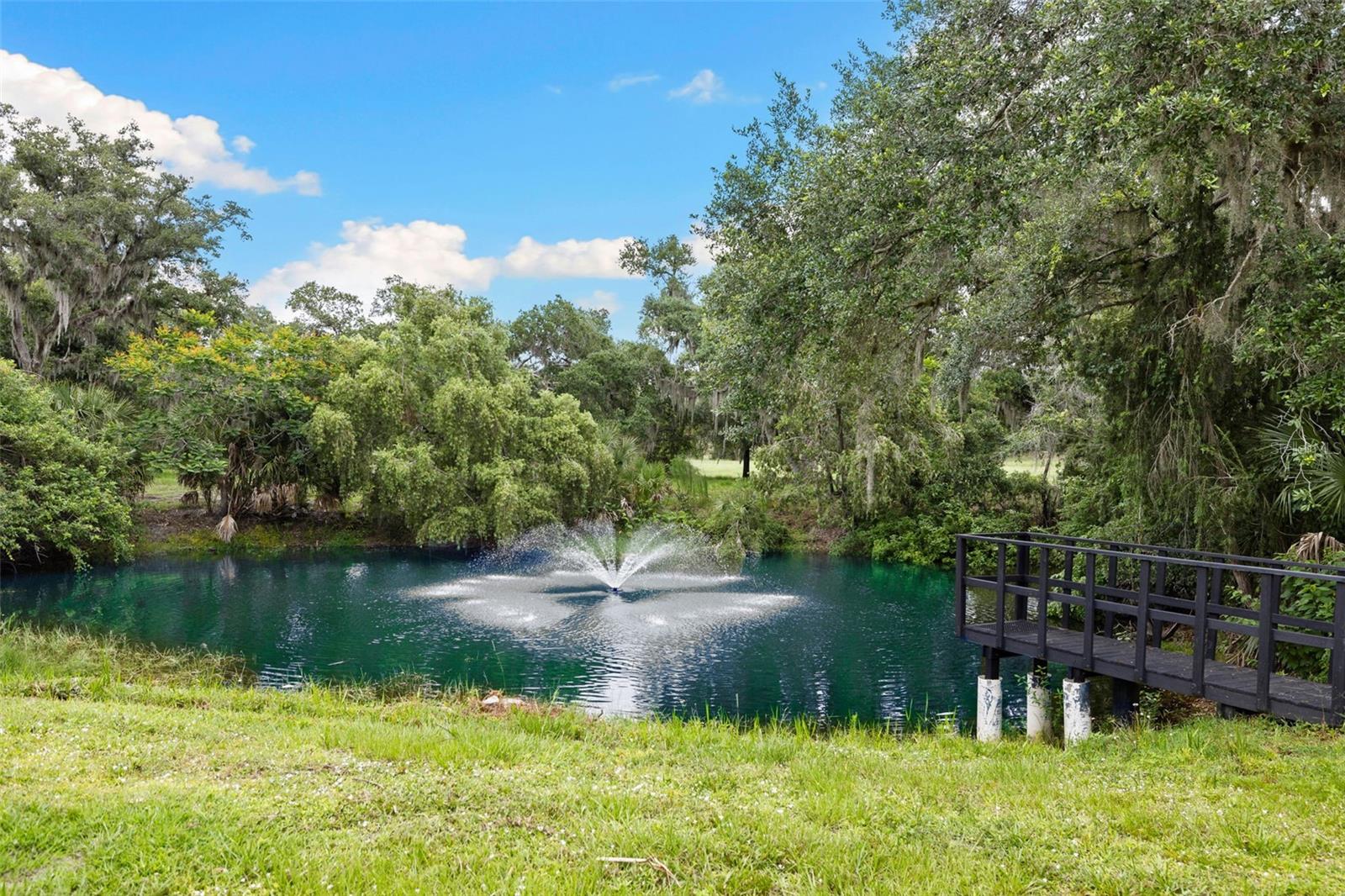 7351 Iguana Dr Property Photo 78
