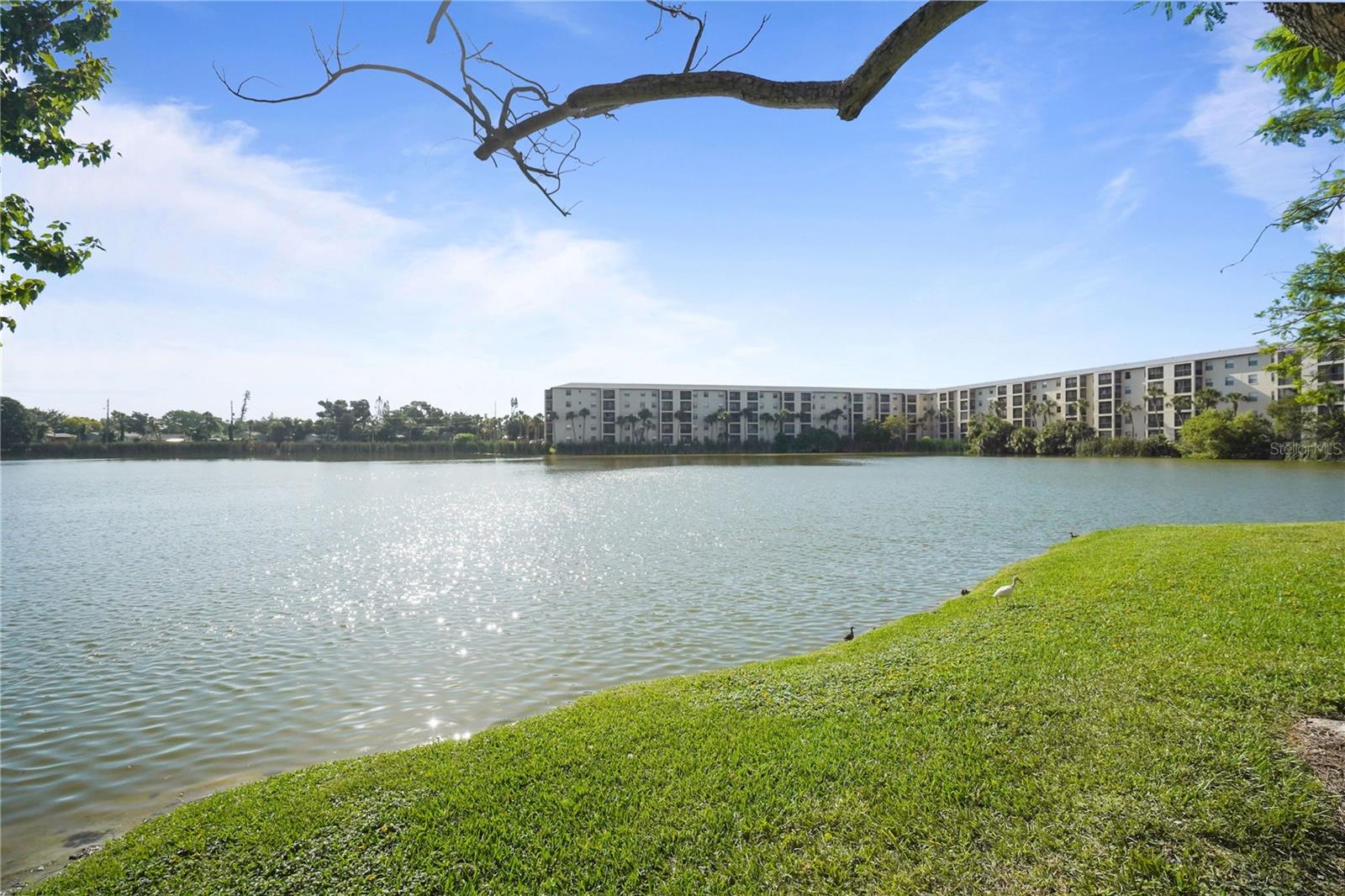 4013 Lake Bayshore Dr #107 Property Photo 29