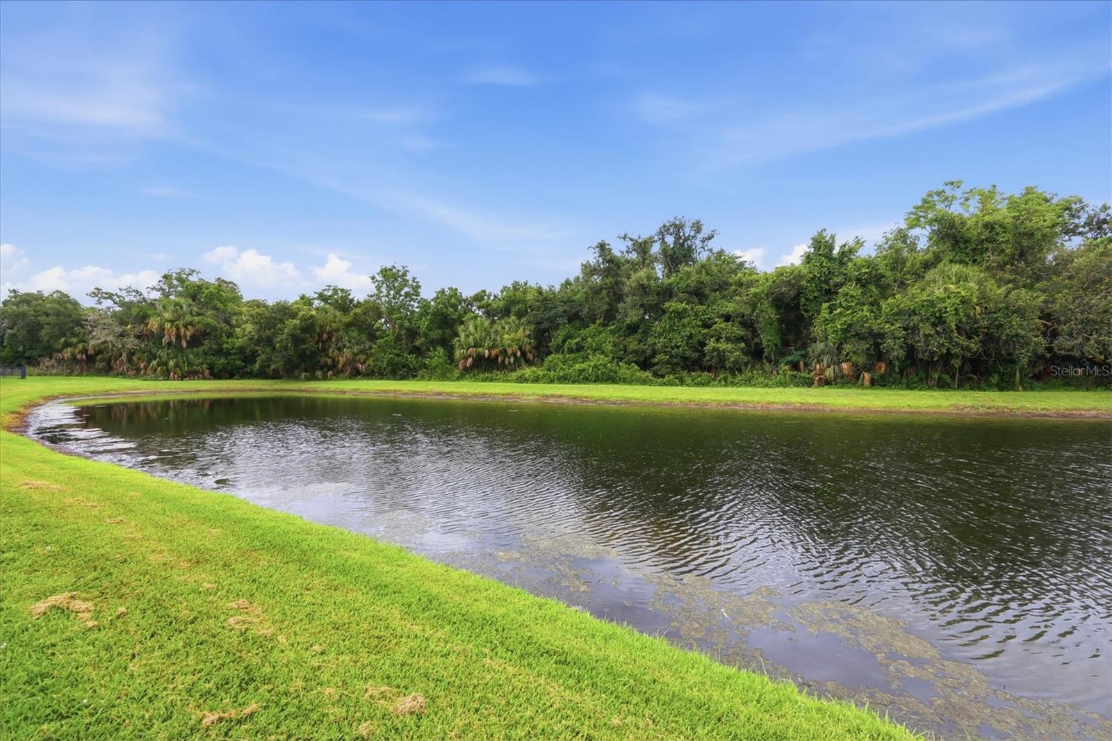 12218 Lavender Loop Property Photo 38