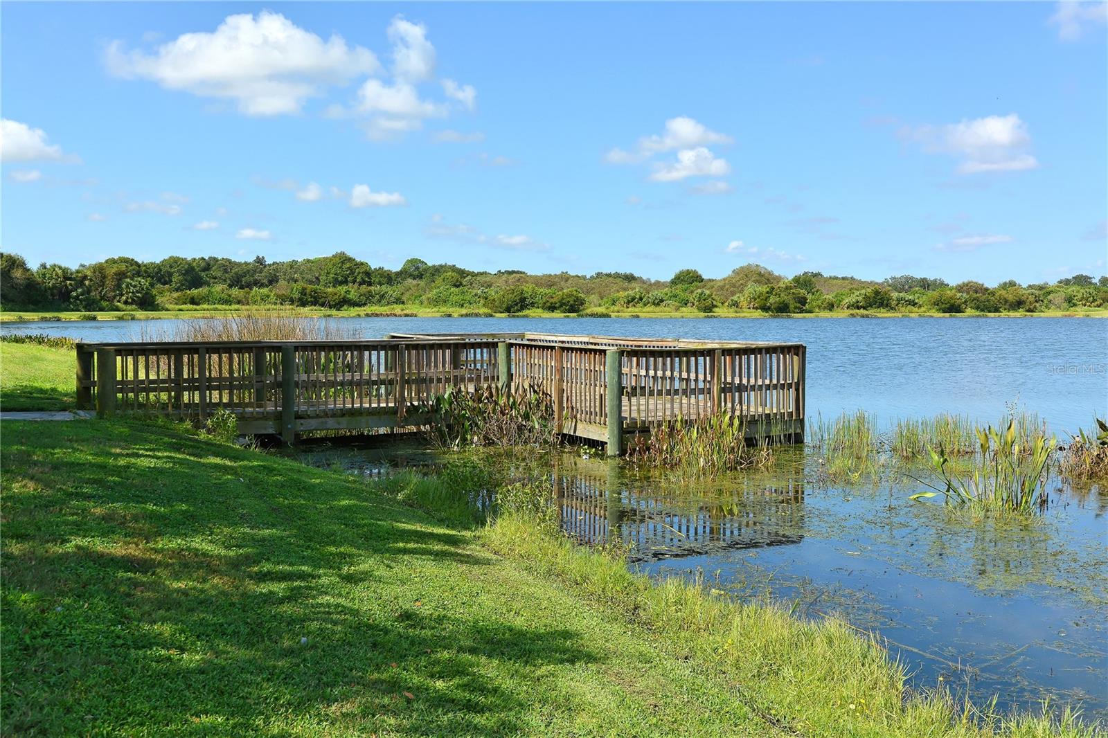 12471 Natureview Cir Property Photo 77