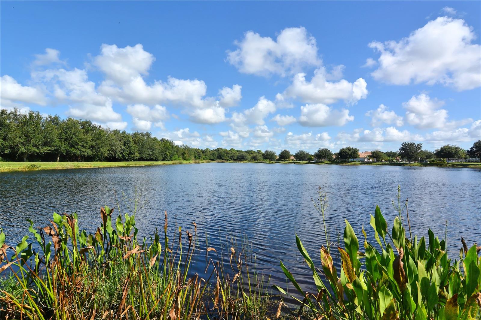 12471 Natureview Cir Property Photo 81