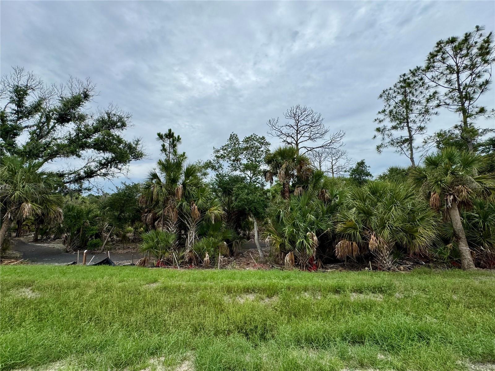 9718 Crystal Isles Cir Property Photo 6