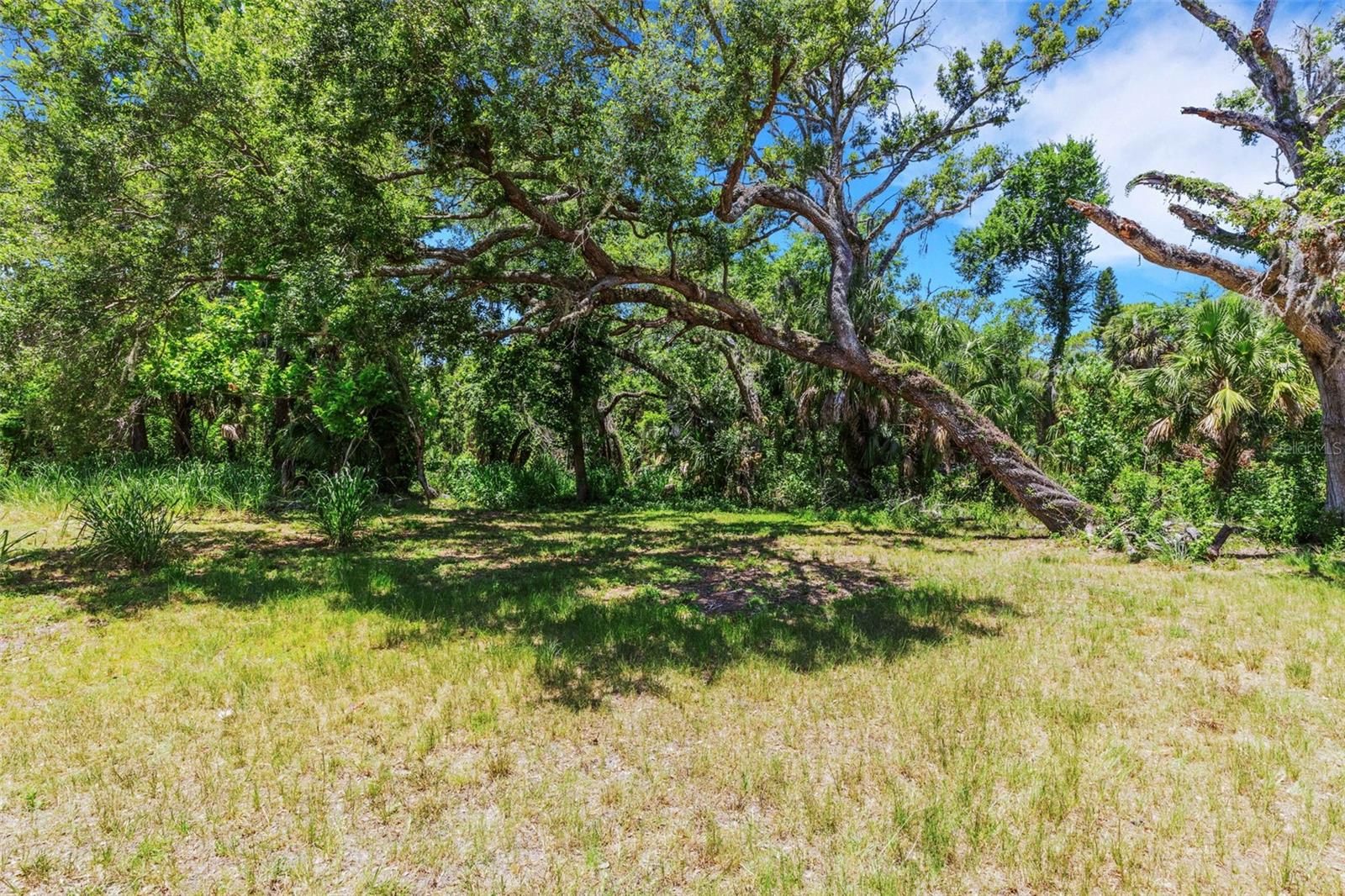 8010 Brower Dr Property Photo 37