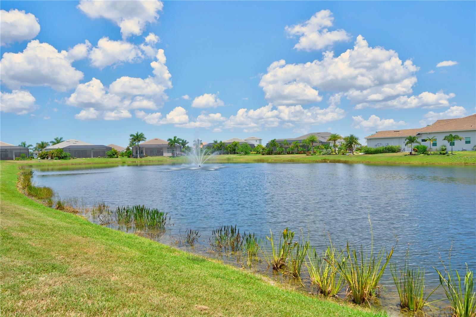 8154 Redonda Loop Property Photo 60