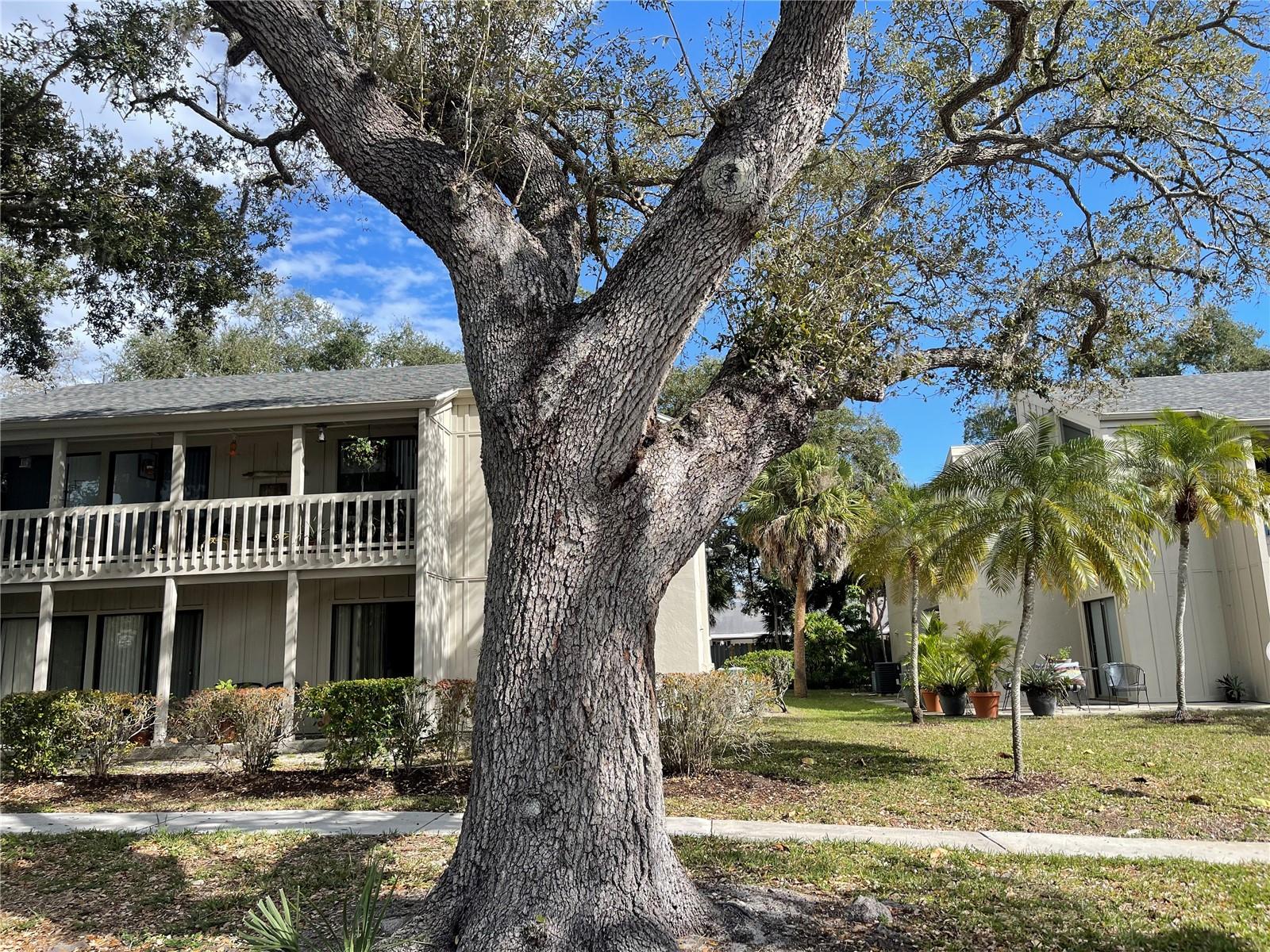 2224 Bahia Vista St #e6 Property Photo 2