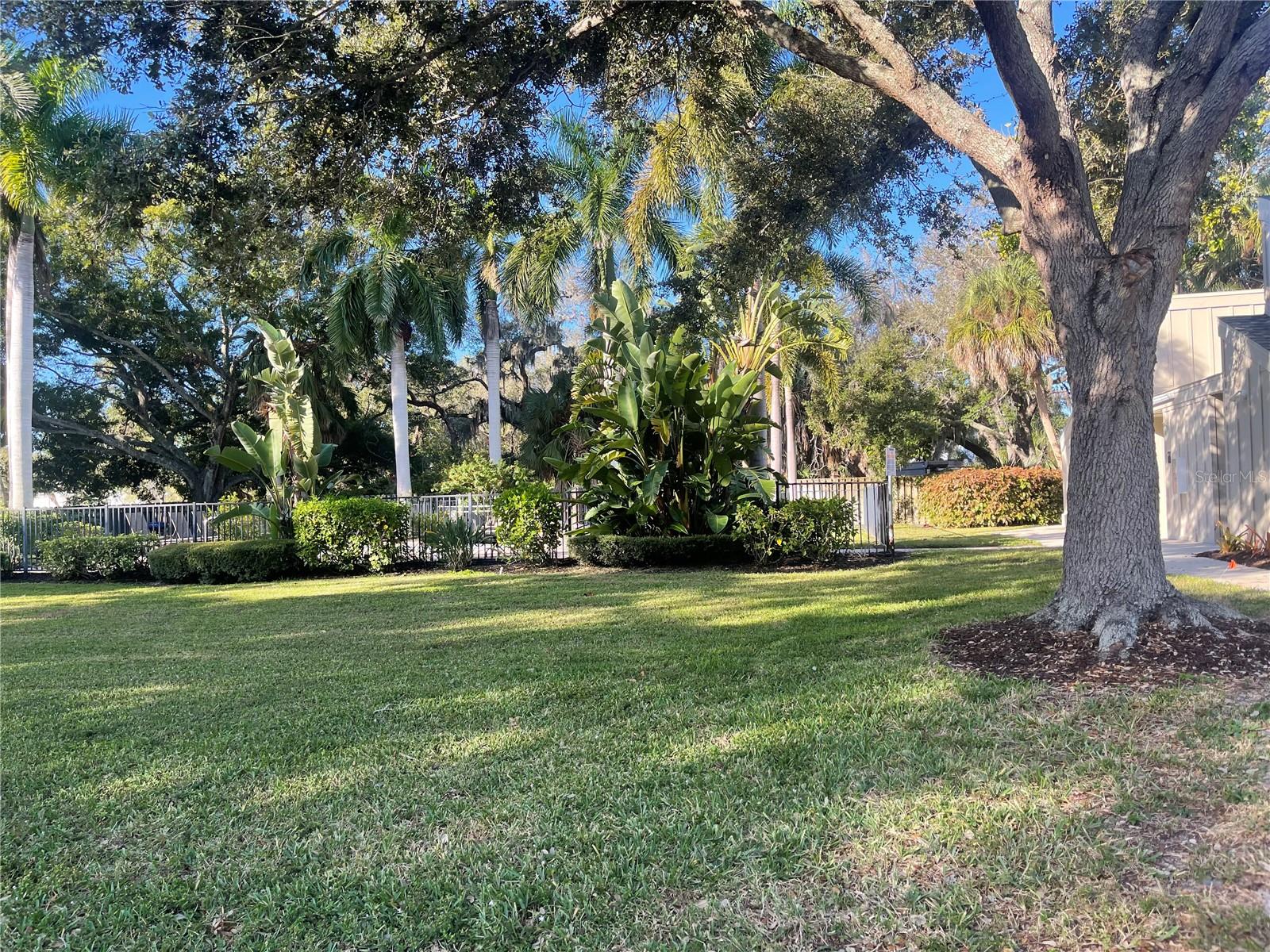 2224 Bahia Vista St #e6 Property Photo 45