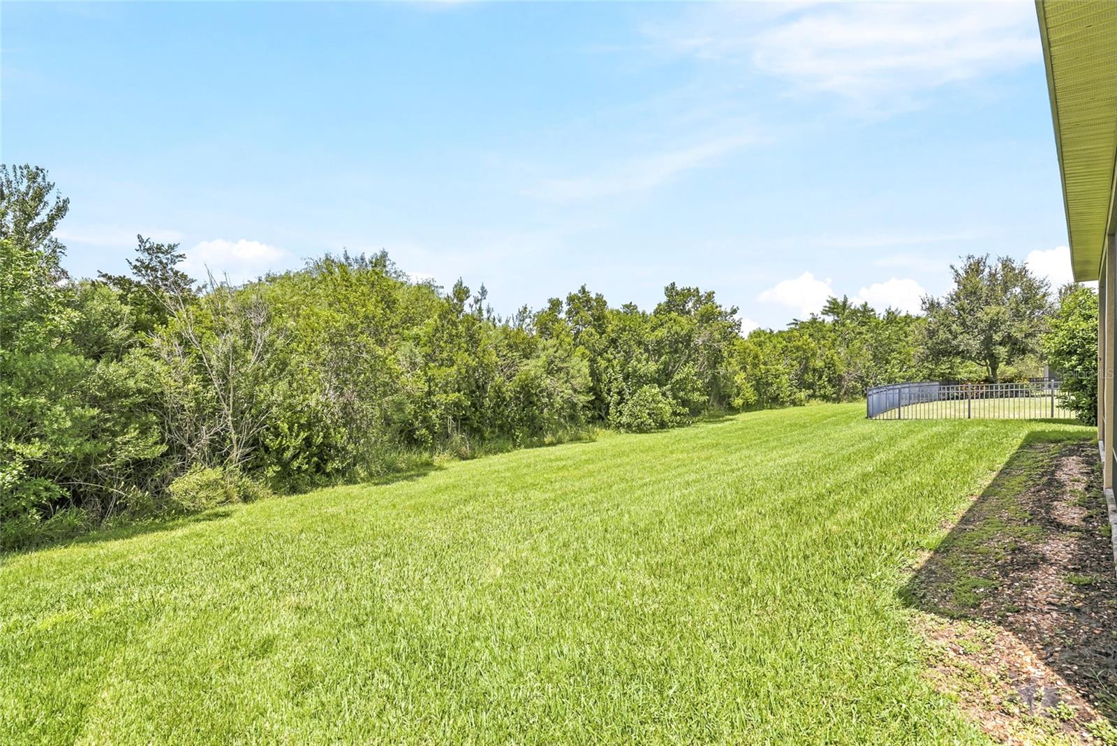 924 Buttercup Gln Property Photo 53