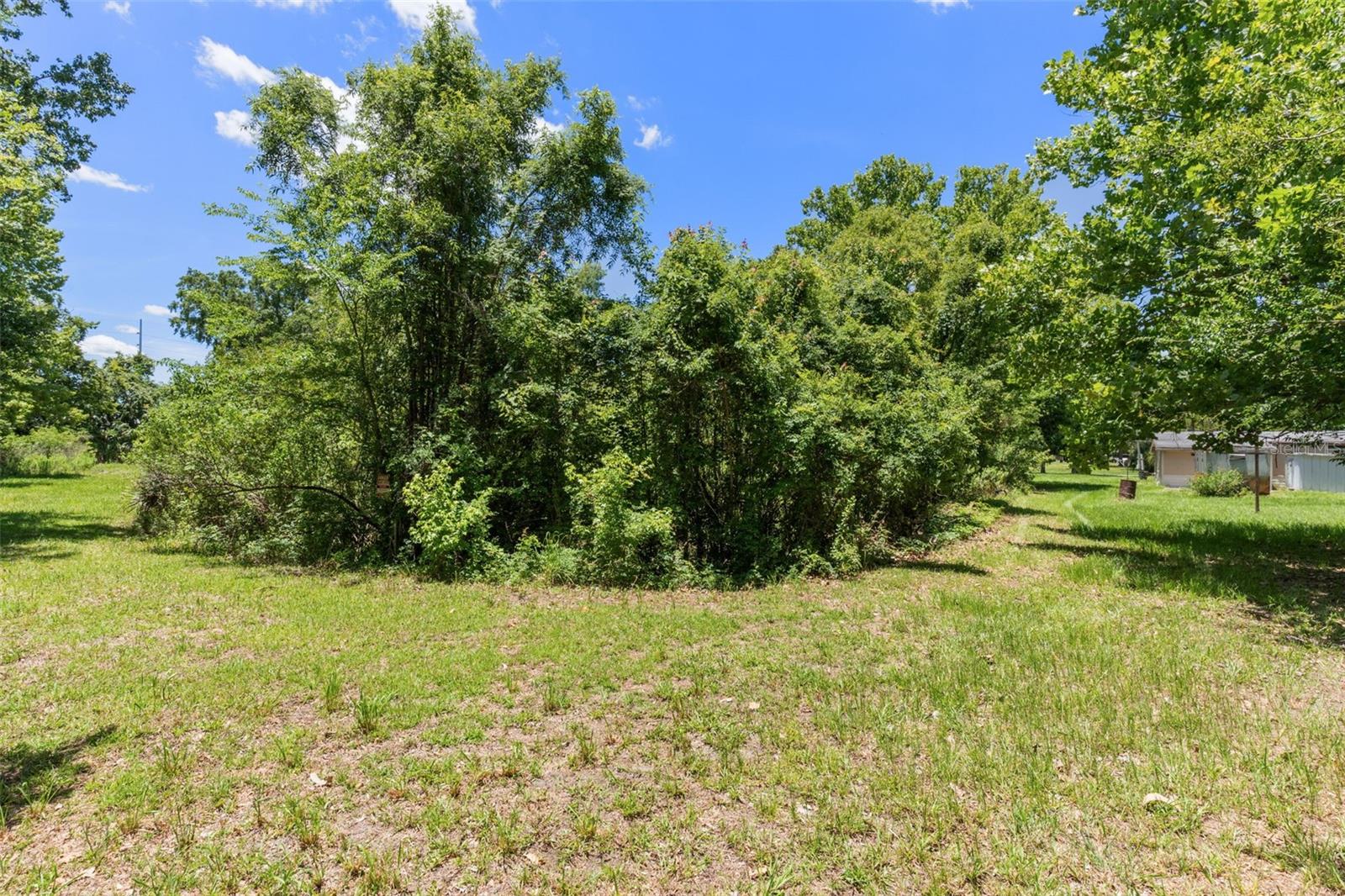 3909 S Cedar Ter Property Photo 30