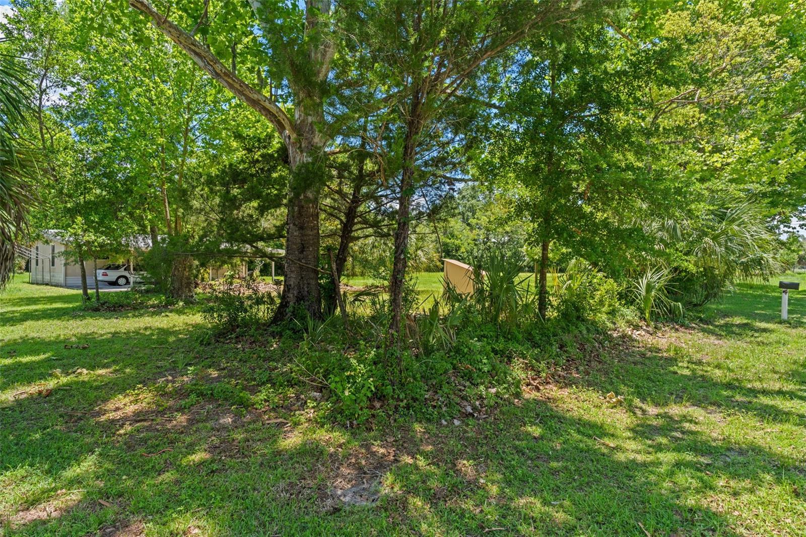 3909 S Cedar Ter Property Photo 36