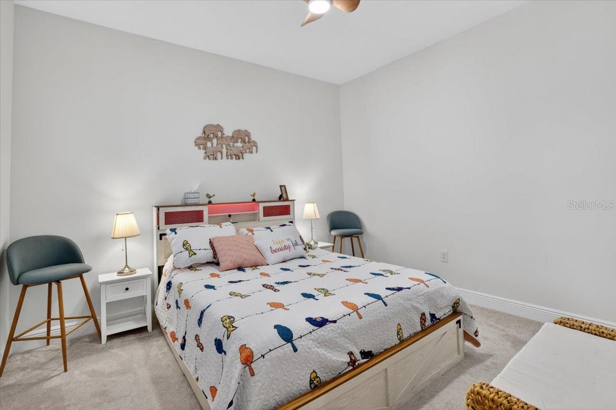 11675 Great Brook Ln Property Photo 18