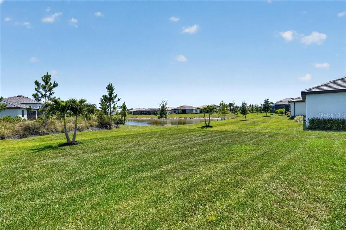 10865 Sun Drop St Property Photo 53
