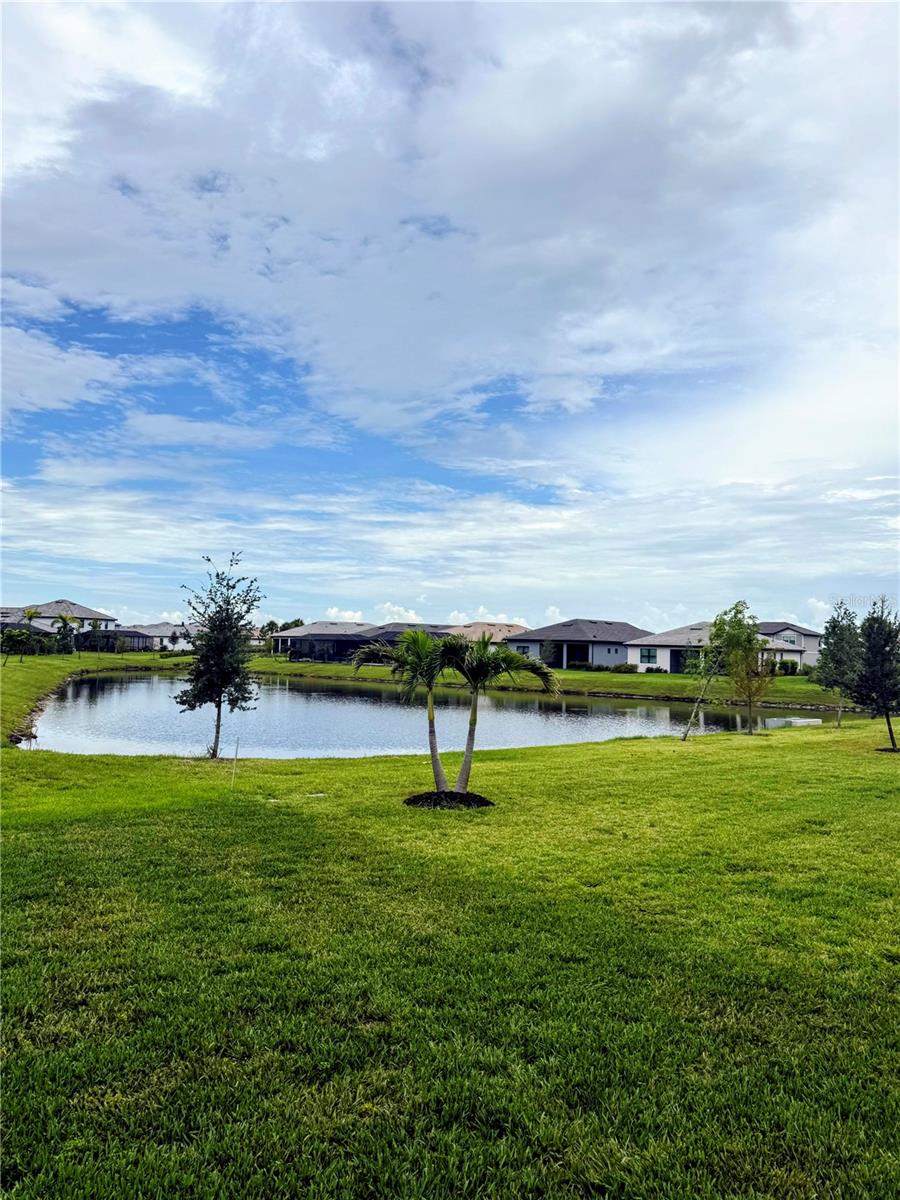 10865 Sun Drop St Property Photo 54