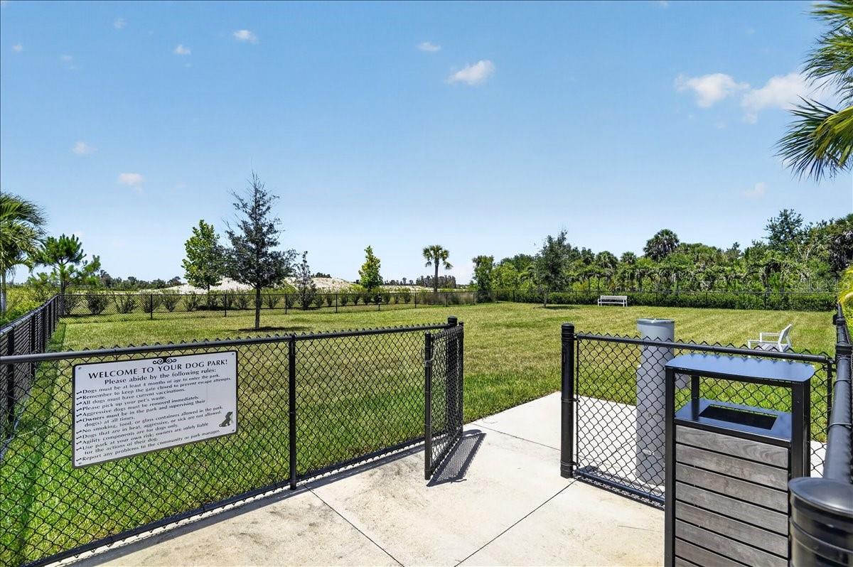 10865 Sun Drop St Property Photo 63