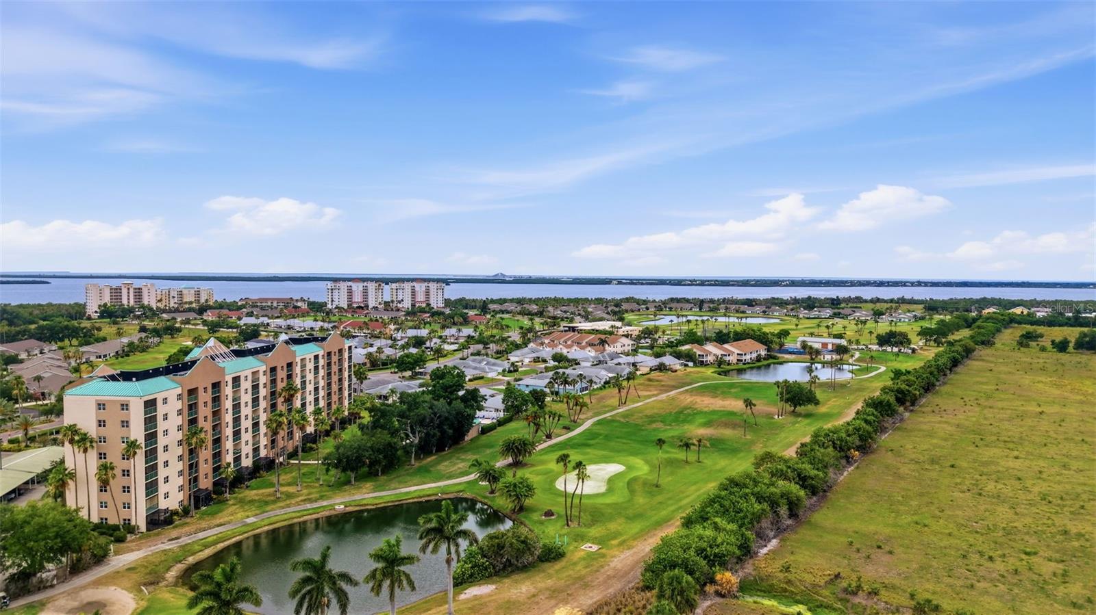 2320 Terra Ceia Bay Blvd #207 Property Photo 36